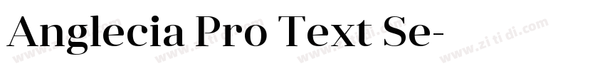 Anglecia Pro Text Se字体转换